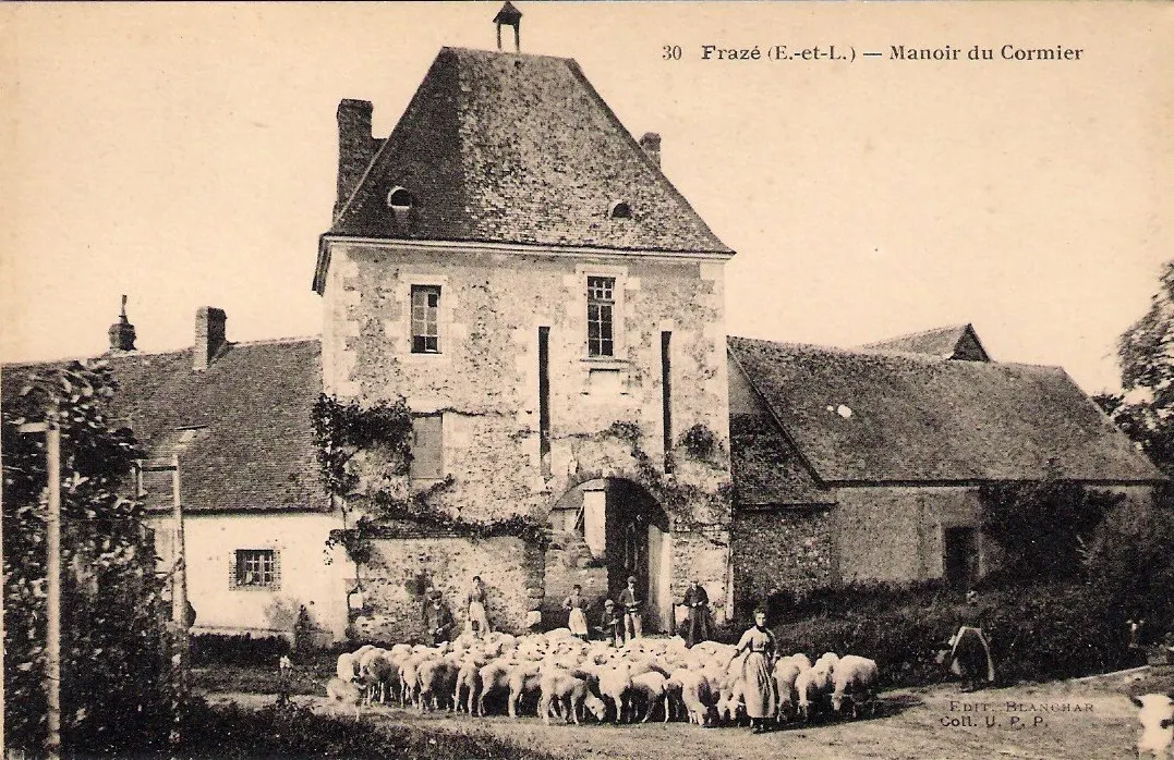 Frazé