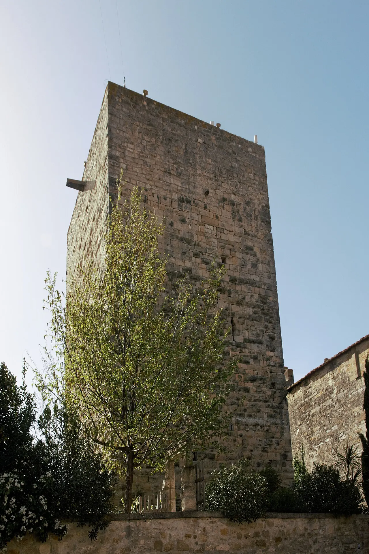Tour seigneuriale