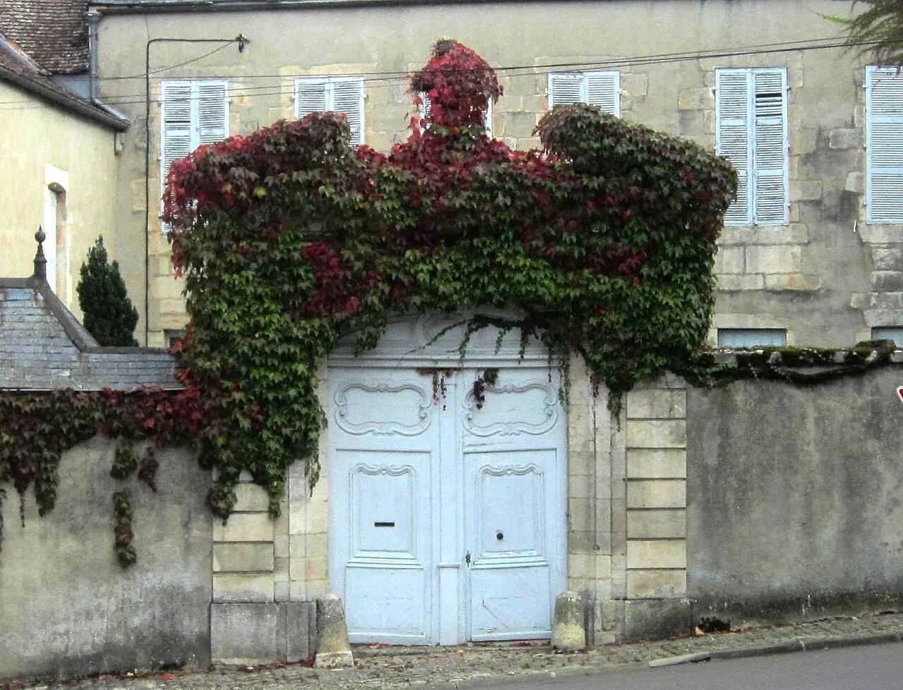 Maison