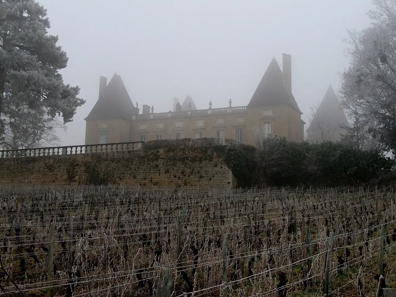 Château de Layé