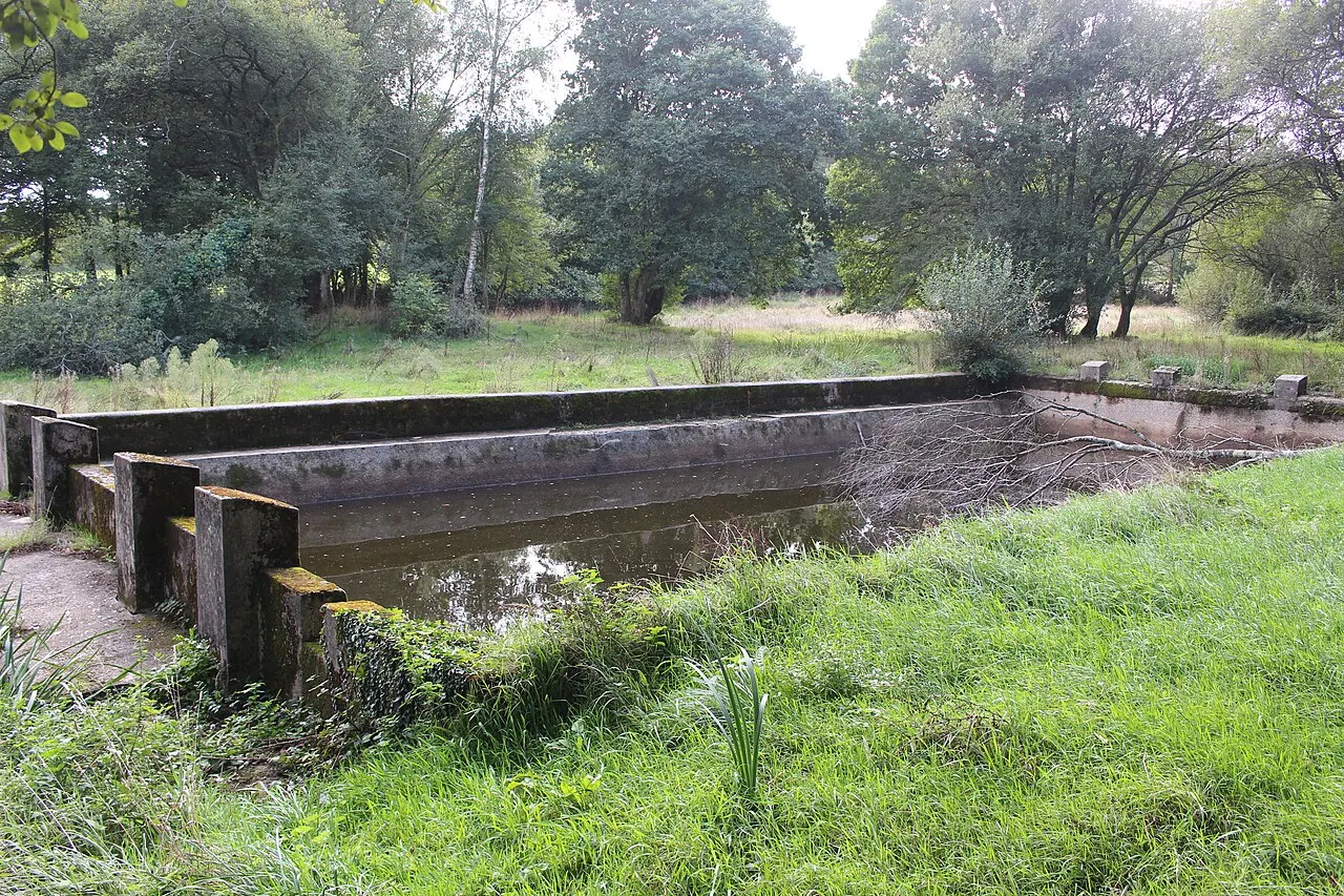 Piscine allemande et ses infrastructures