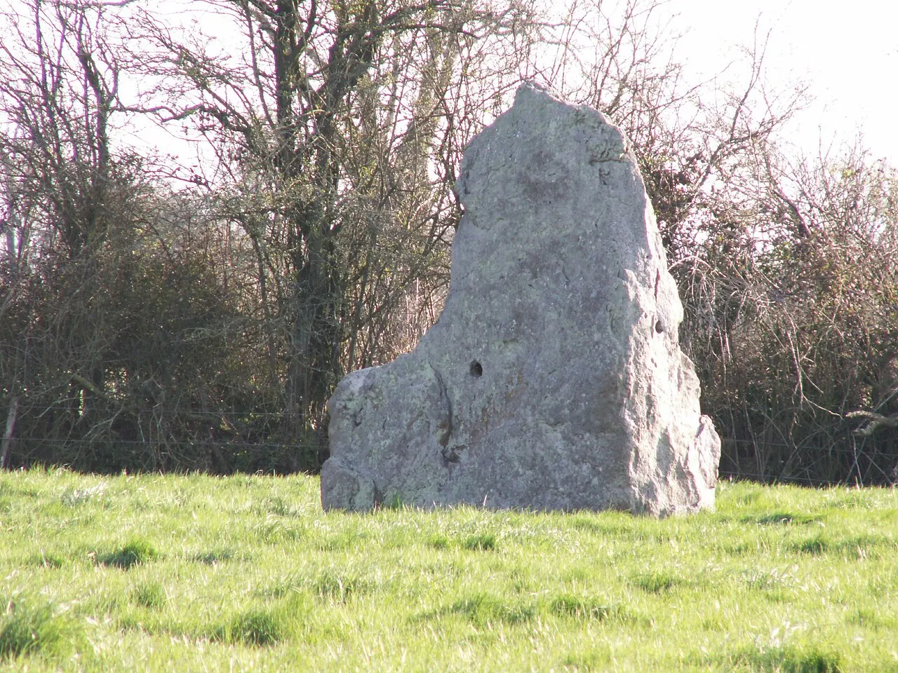 Menhir de la Roche Govi