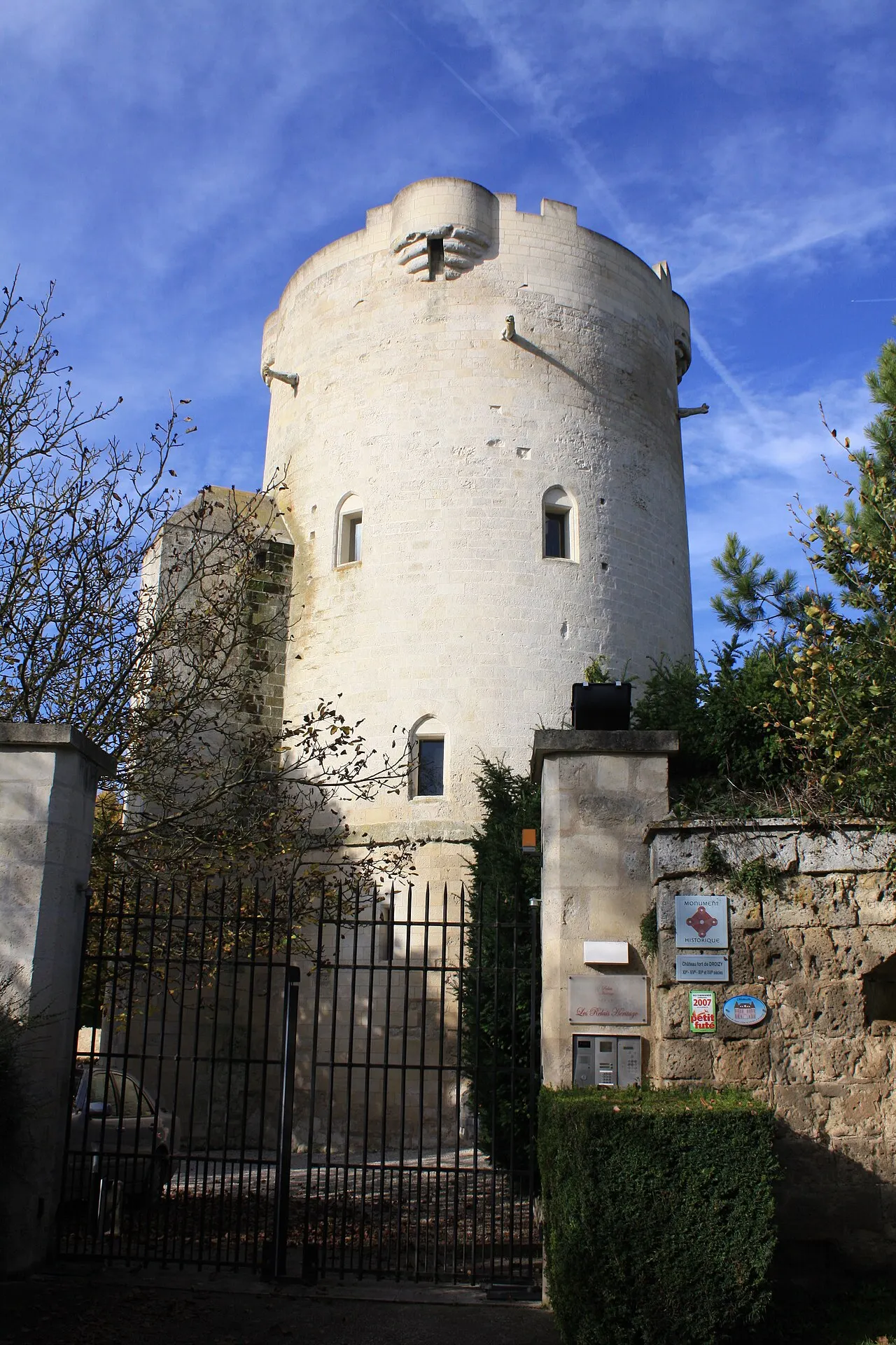 Donjon de Droizy