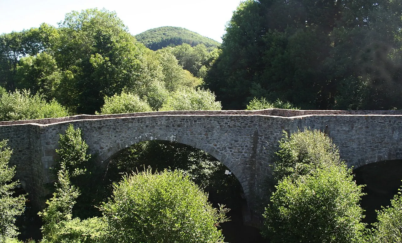 Pont de Saint-Etienne