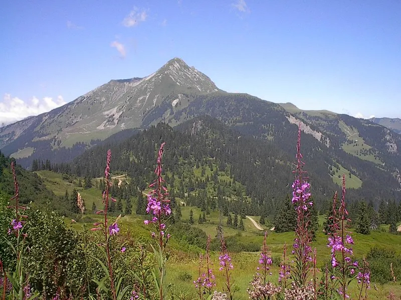 Mont de Grange