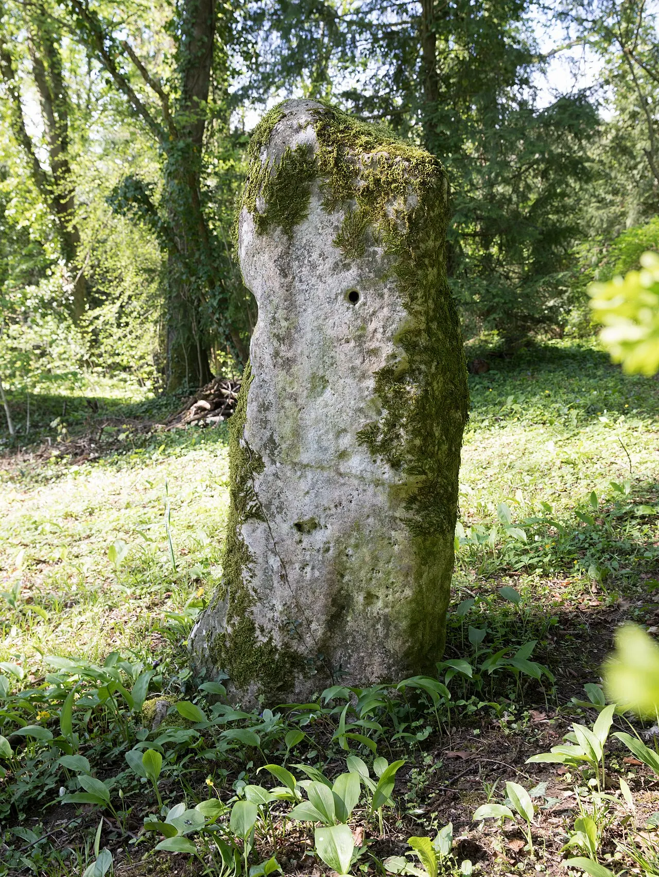 Menhir de Woinville