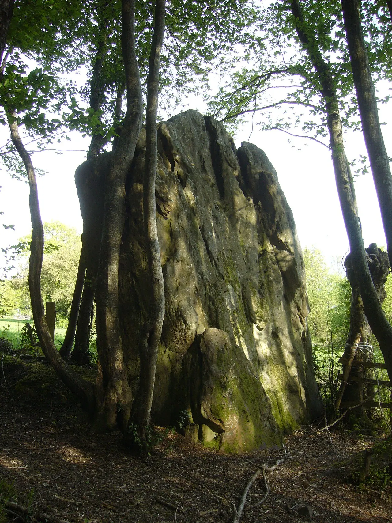 Menhir de Courtevrais