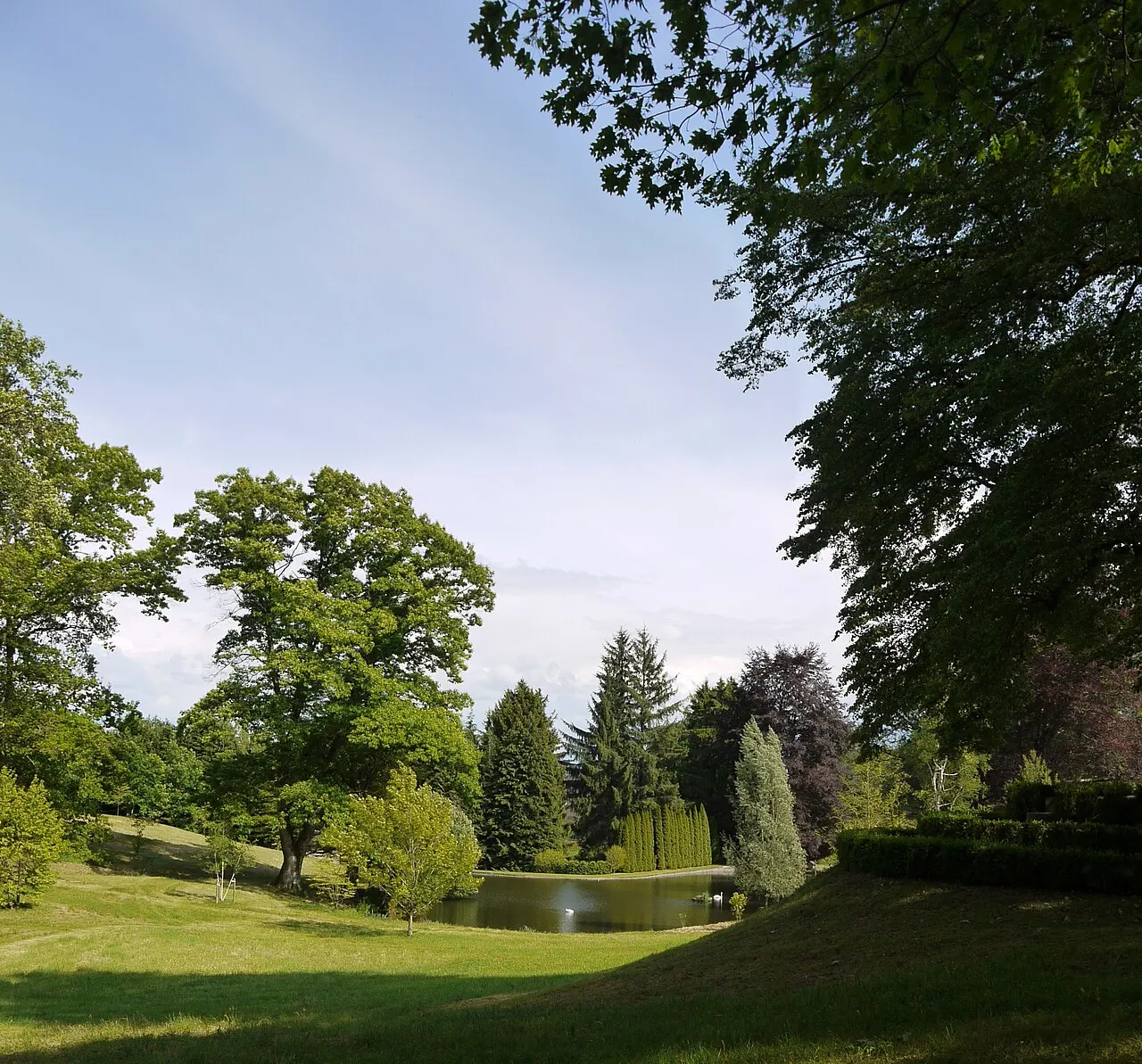 Arboretum du château