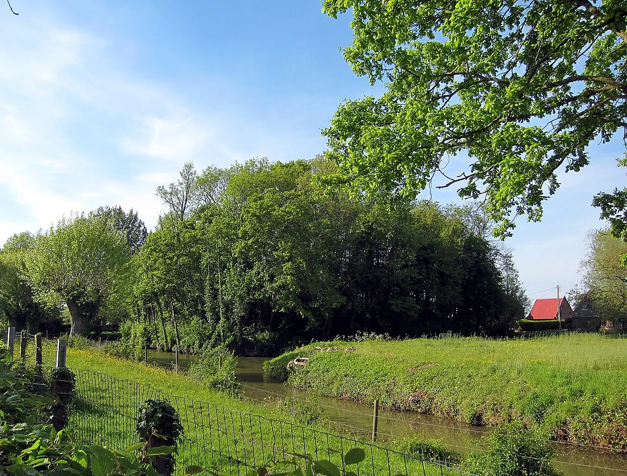 Motte de Belhof