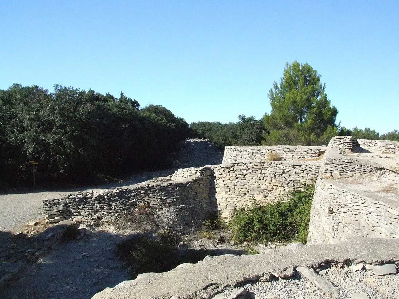 Enceinte et oppidum des Castels