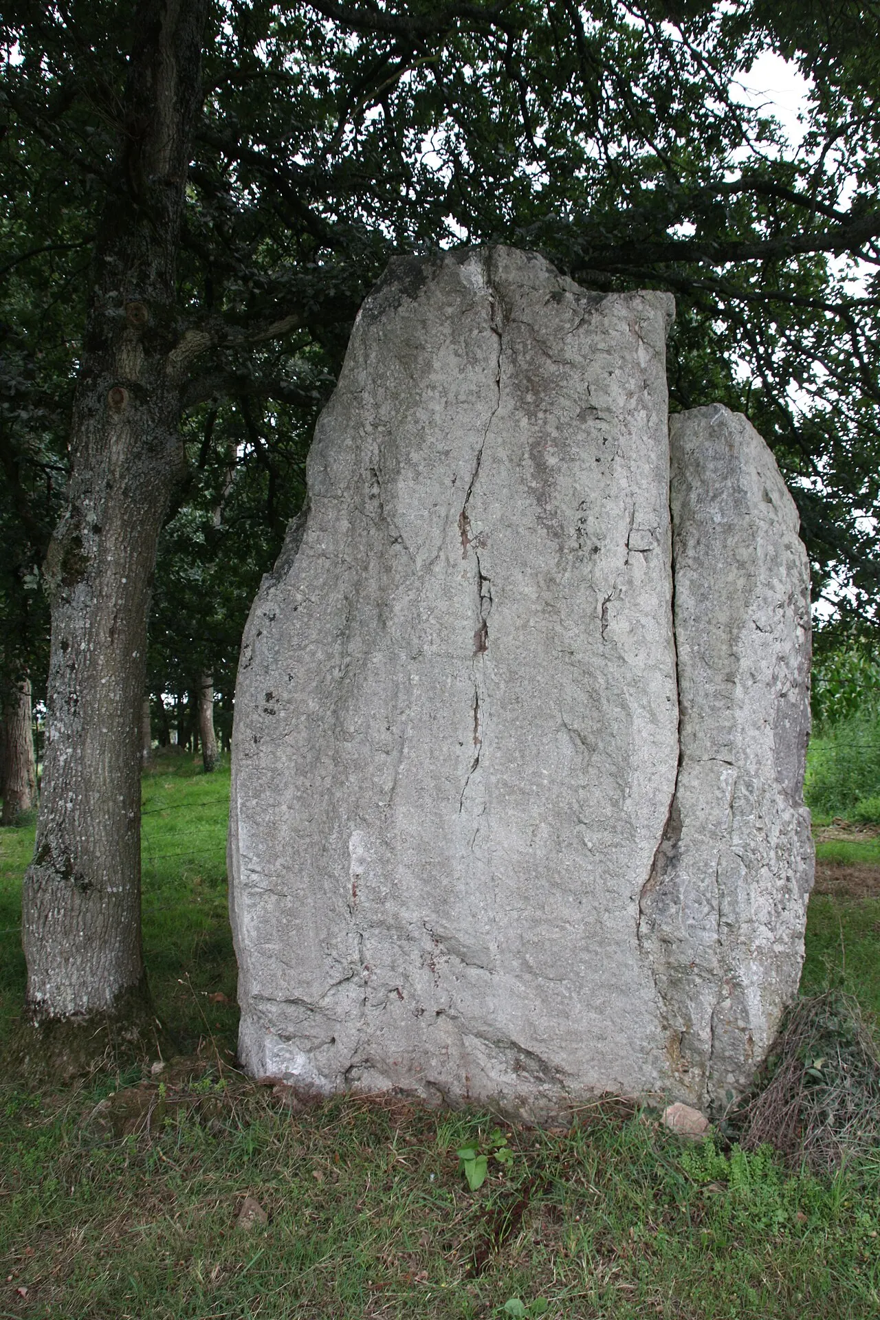 Roche Piquée