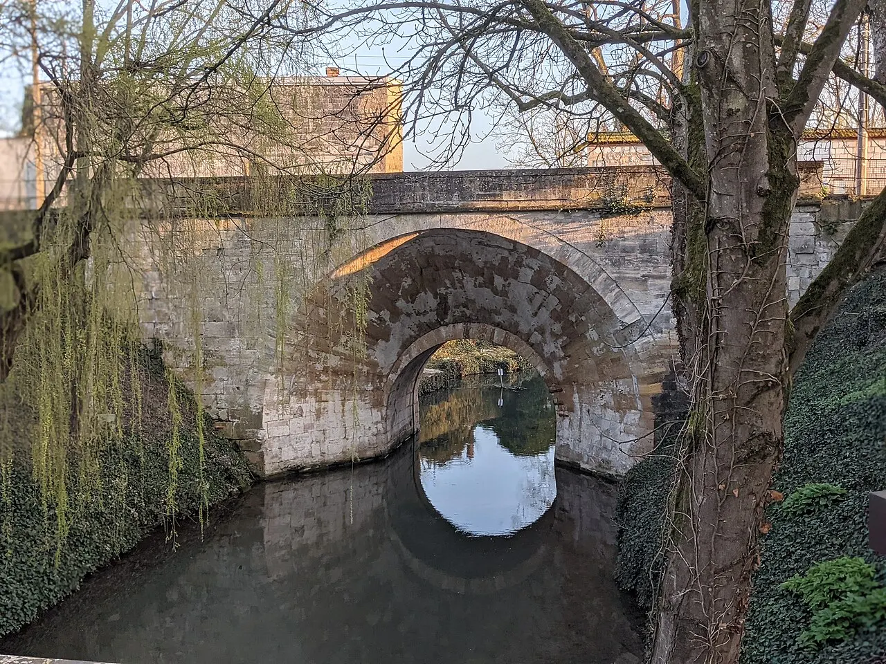 Arche Mauvillain