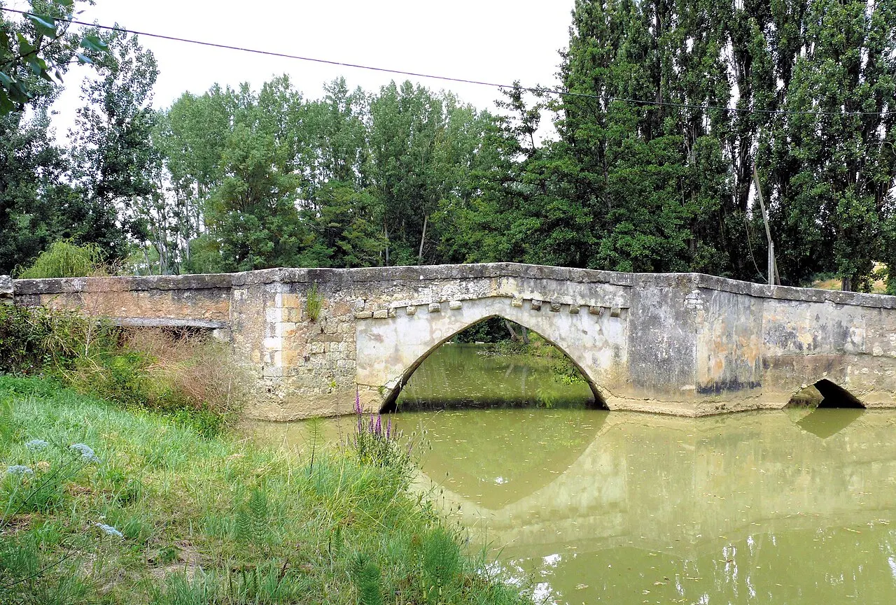 Vieux Pont de Pavie