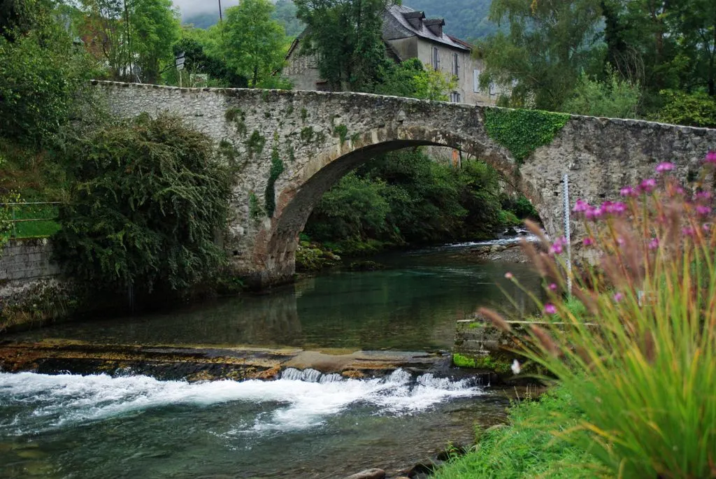 Pont