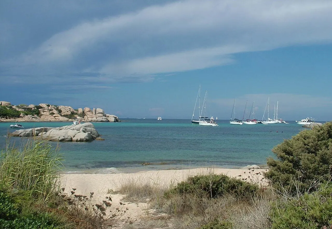 Île de Cavallo