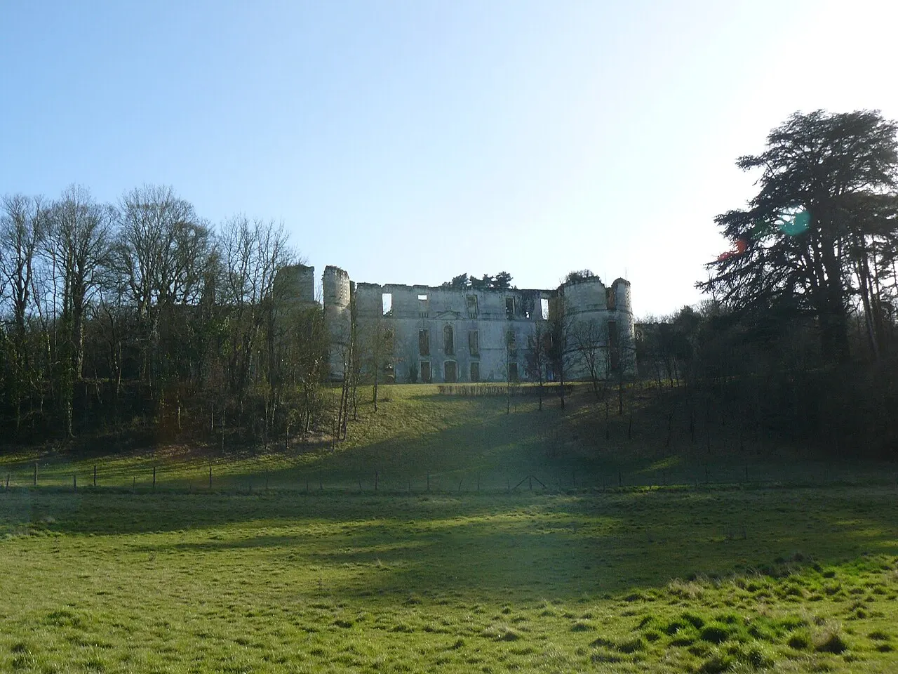 Château de Montgoger