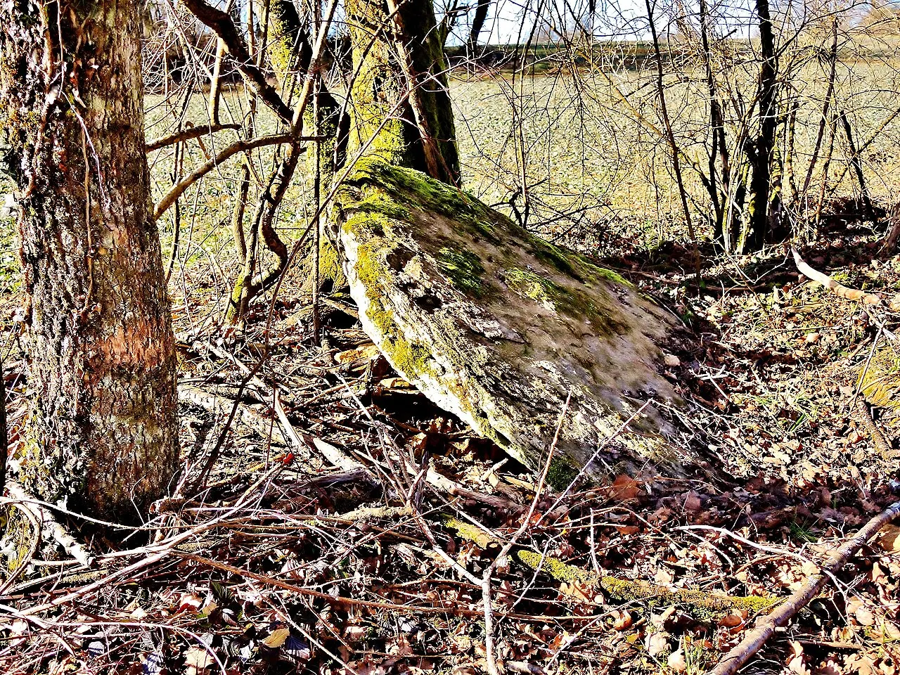 La Grosse Pierre
