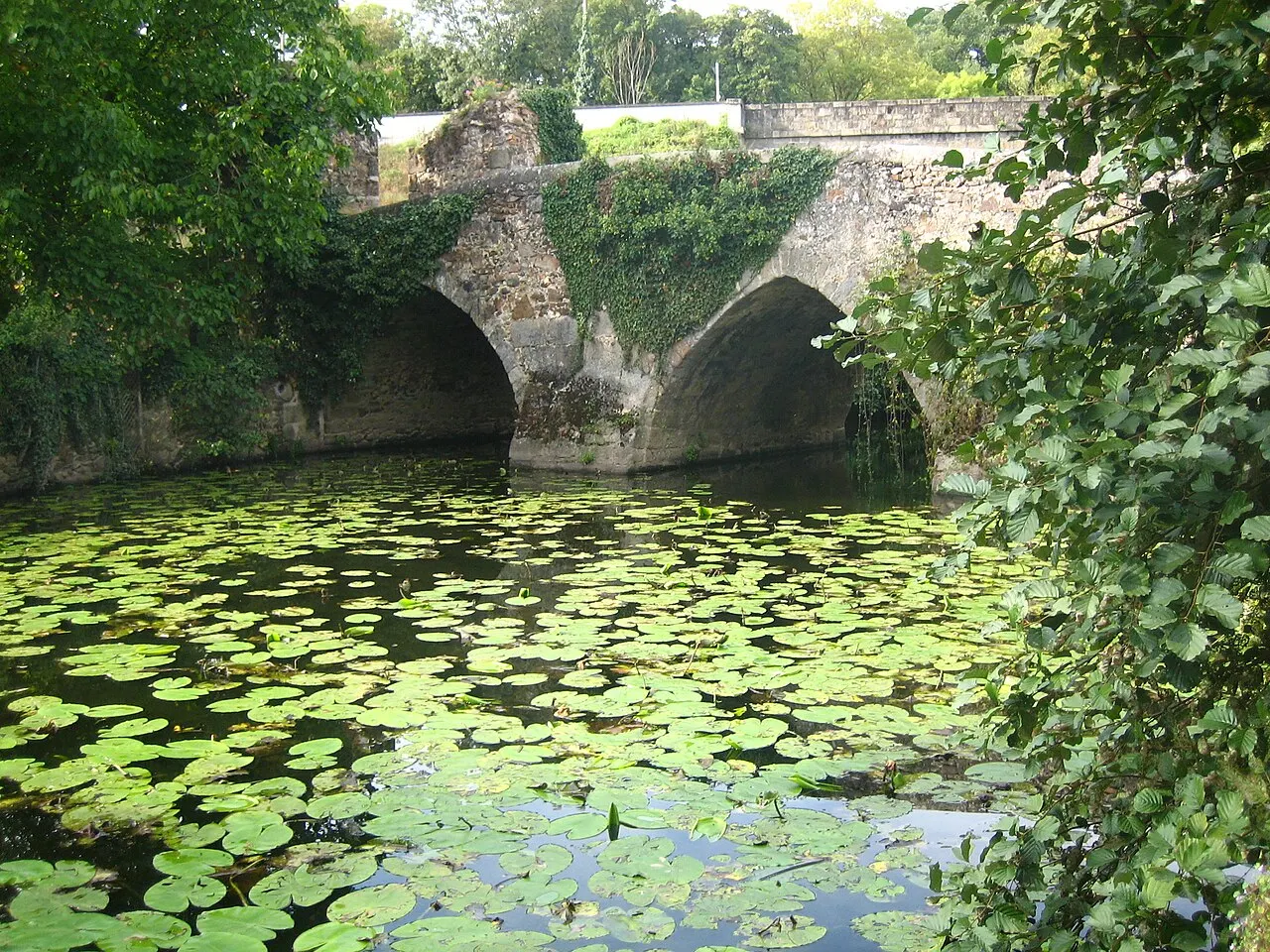 Pont Cadoré