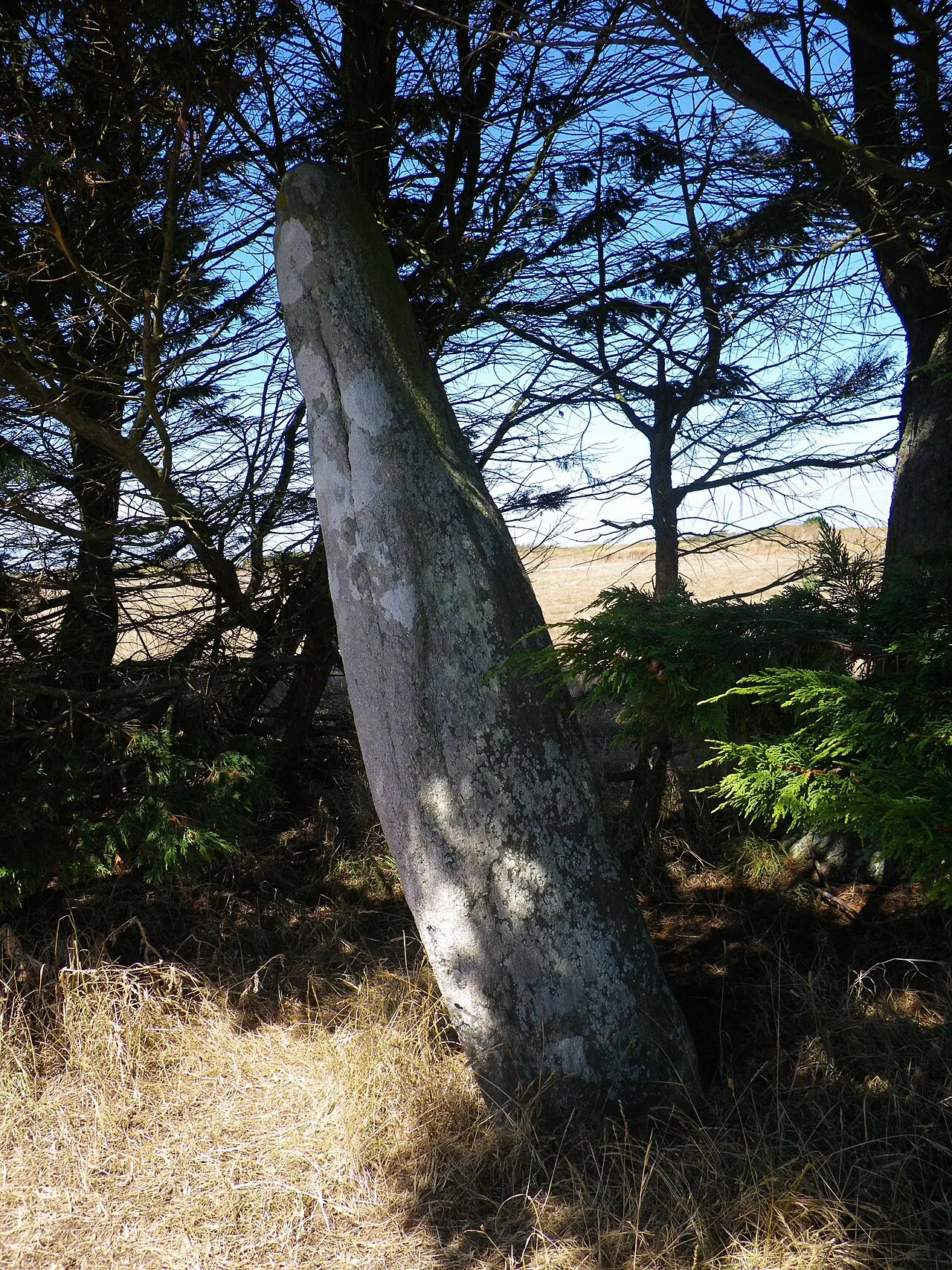 Er Menhir