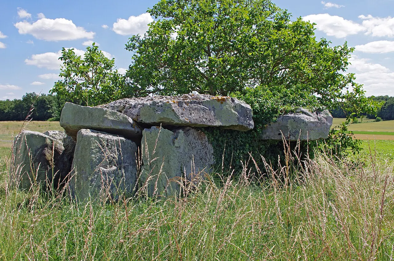 Dolmen de la Forêt