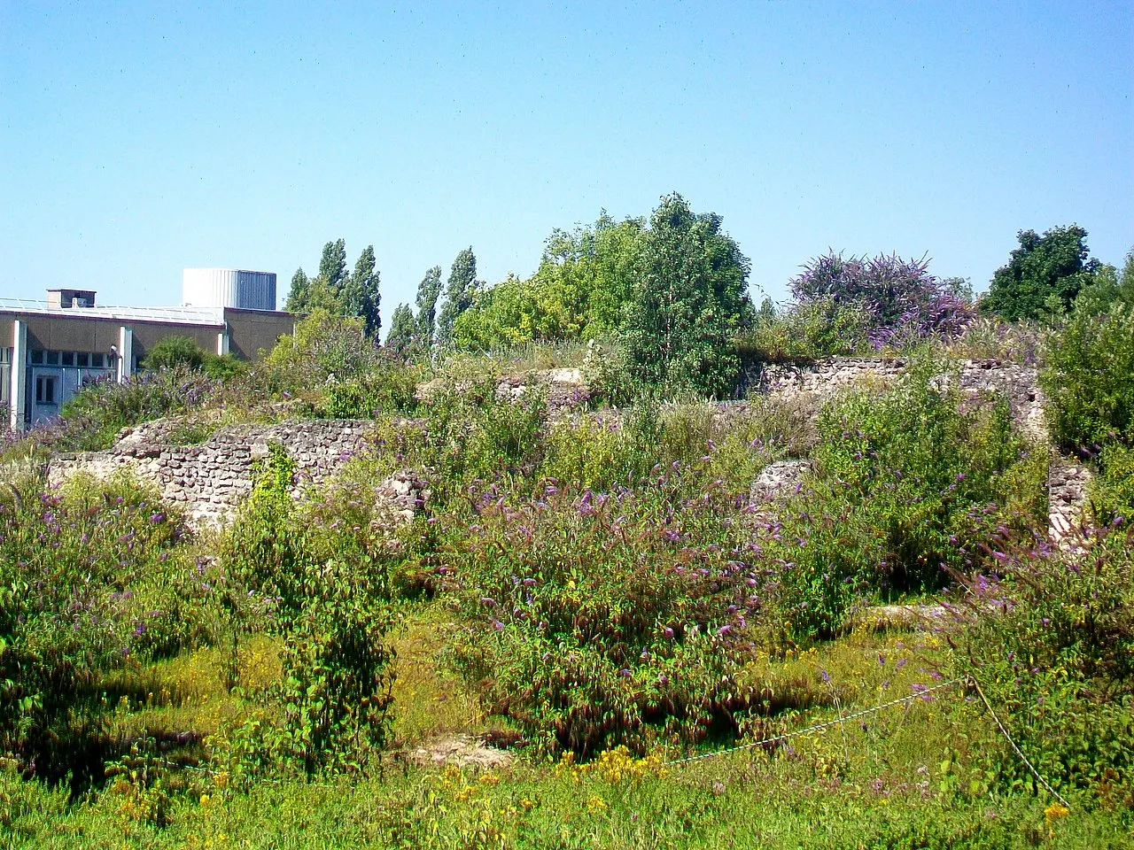 Sanctuaire gallo-romain de la Bauve