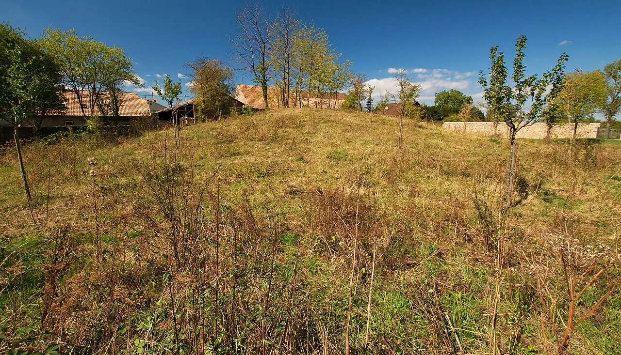 Motte castrale