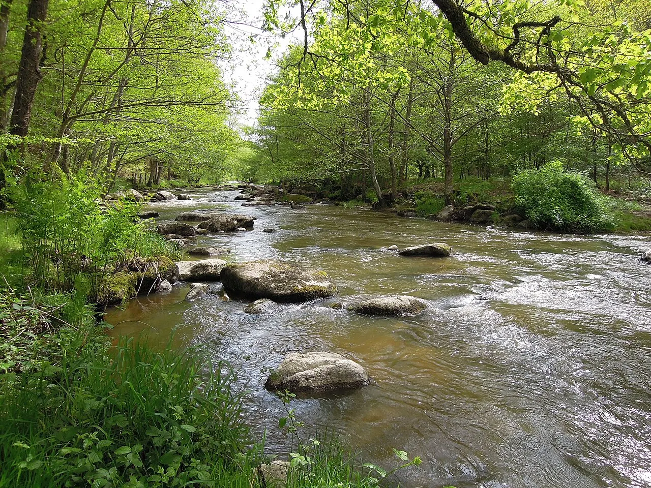 Arboretum de la Sédelle