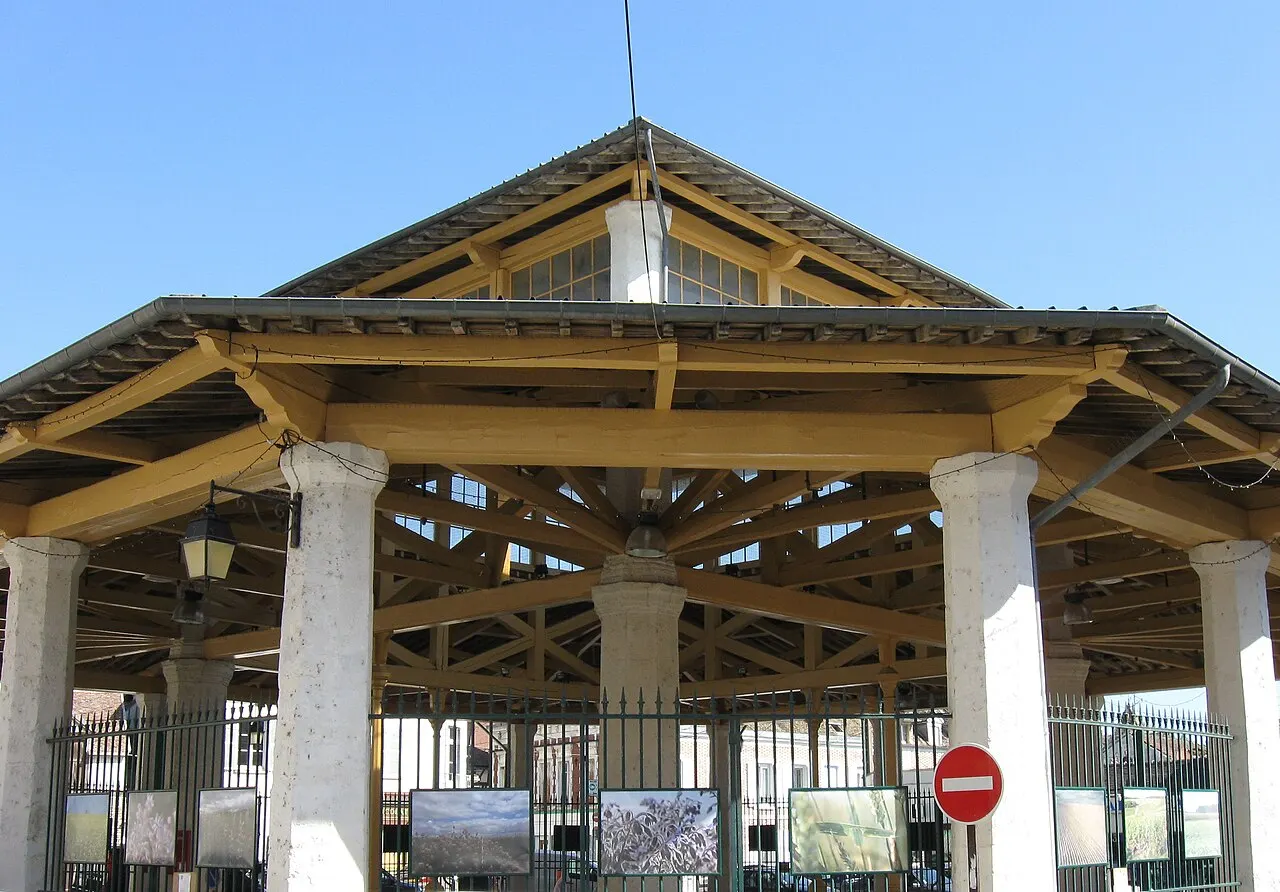Halle