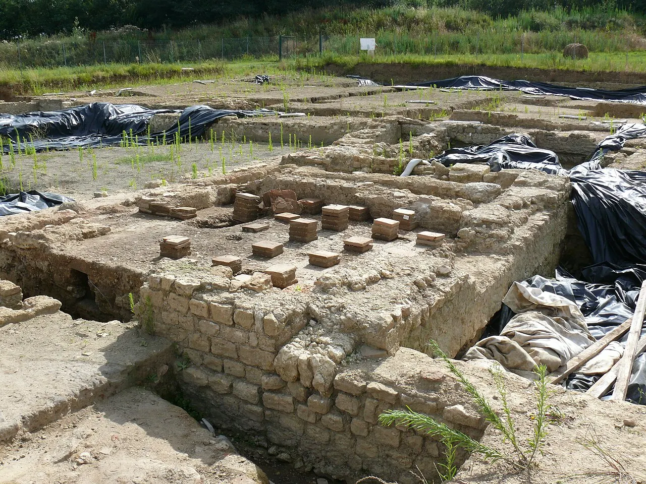 Site archéologique de la ville antique de Tasta / Elusa