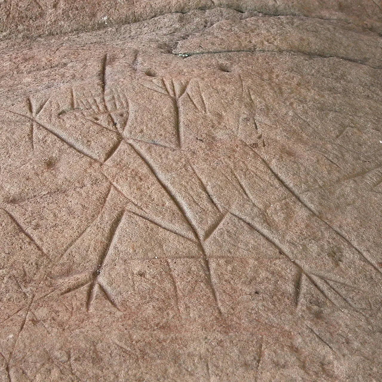 Roches gravées de la Carapa